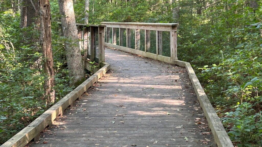 Hike the Richmond Heritage Trail for an easy, dog-friendly outing