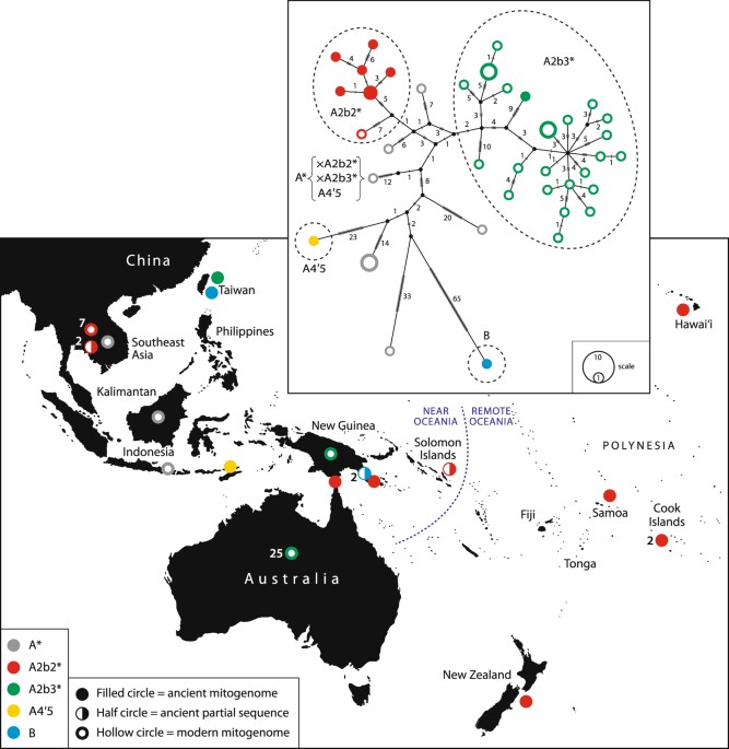 Complex history of dog (Canis familiaris) origins and translocations in the Pacific revealed by ancient mitogenomes