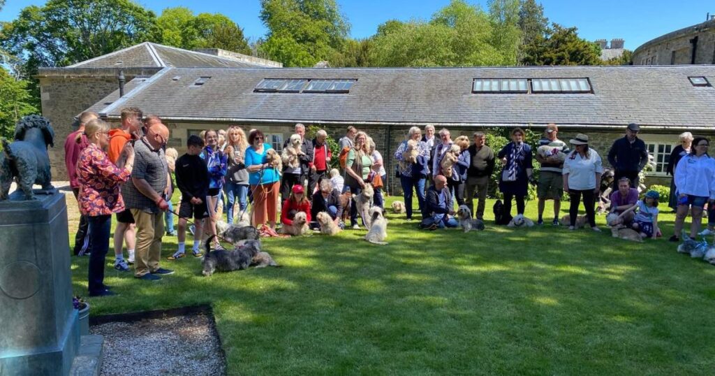 Dandie Dinmont Trail launches to celebrate famous Sir Walter Scott dog