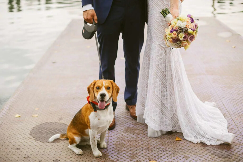 Dog Owners Marry at Vet Office So Their Terminally Ill Pet Can Witness the Wedding and Sign Marriage Papers