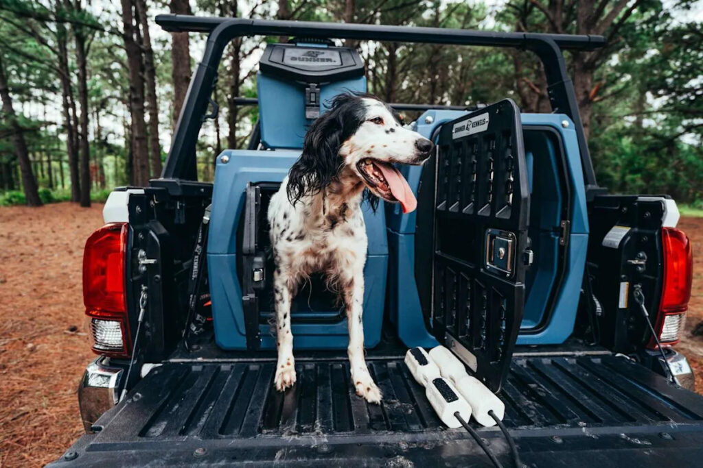 Dog owners swear by this crash-tested kennel