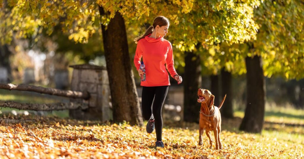 Dog owners warned over ‘silent killers’ found on autumn walks