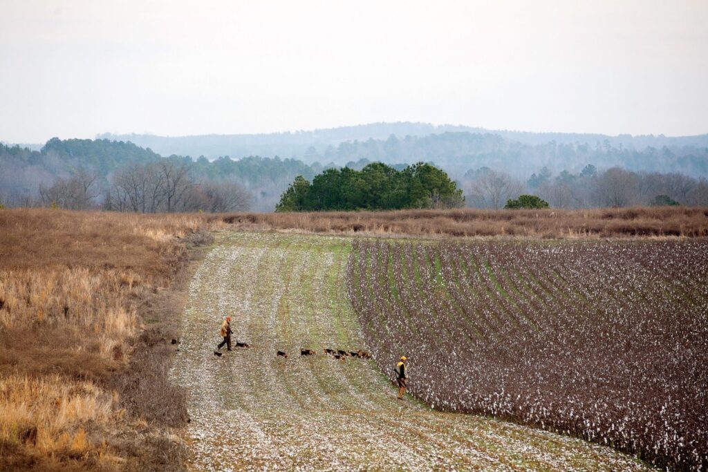 Heritage Hunt – Garden & Gun