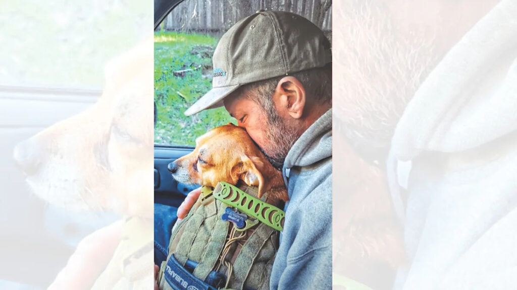 Plato the Dog Helped Reunite 66 Pets with Their Families