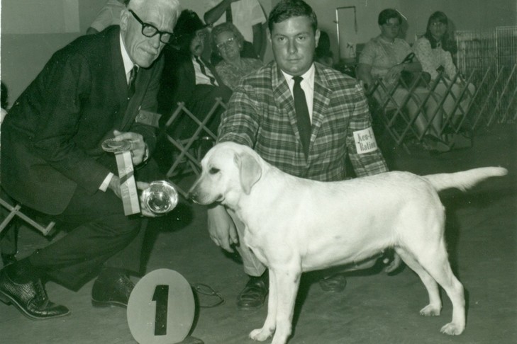 The Evolution of Showing Dogs