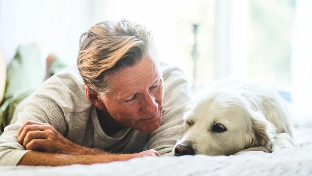 Your Dog Could Be Developing the Same Health Conditions as You, New Study Finds