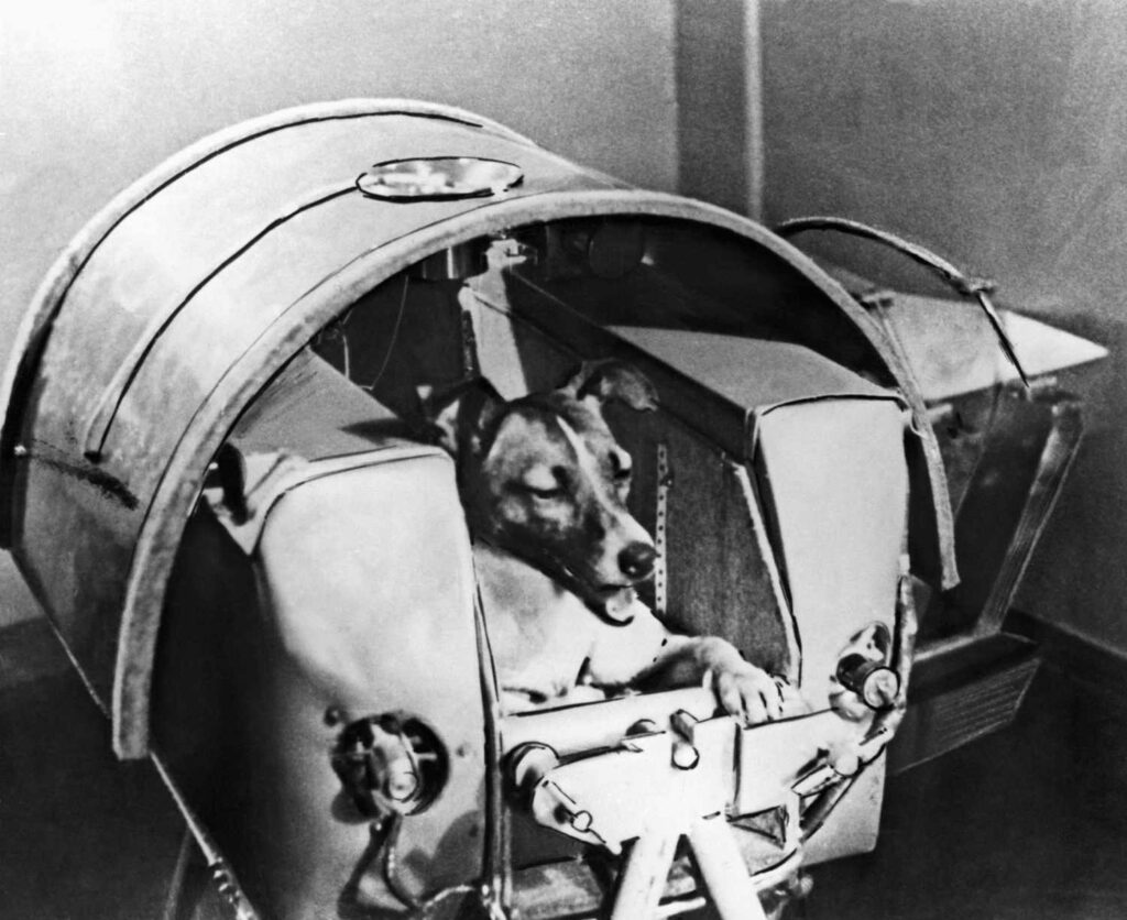 the First Animal in Outer Space
