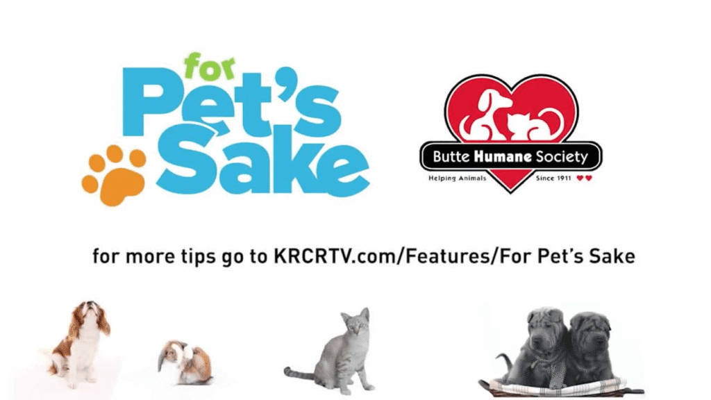 Redding Chico Eureka