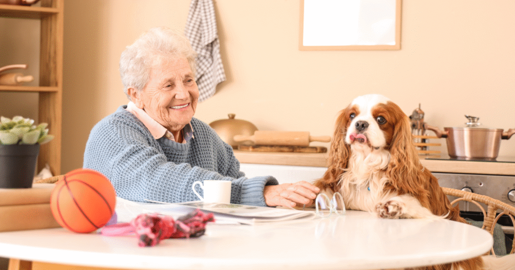 8 things dog owners always keep in their kitchen that non-dog people would never understand – VegOut