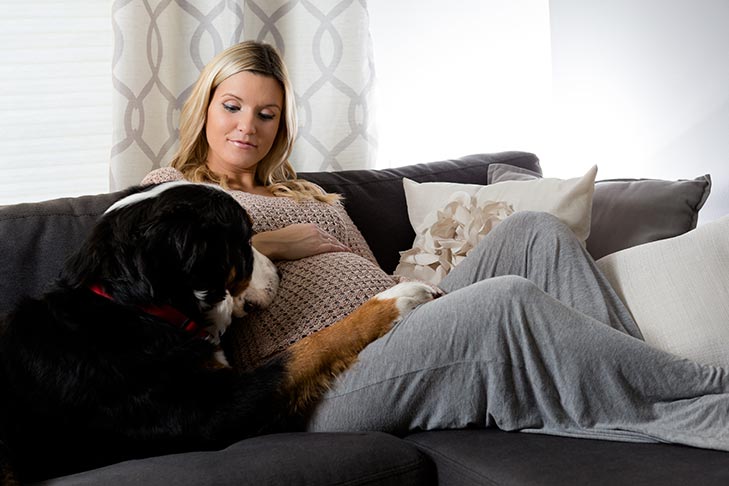 Does Your Dog Know When You’re Pregnant? – American Kennel Club