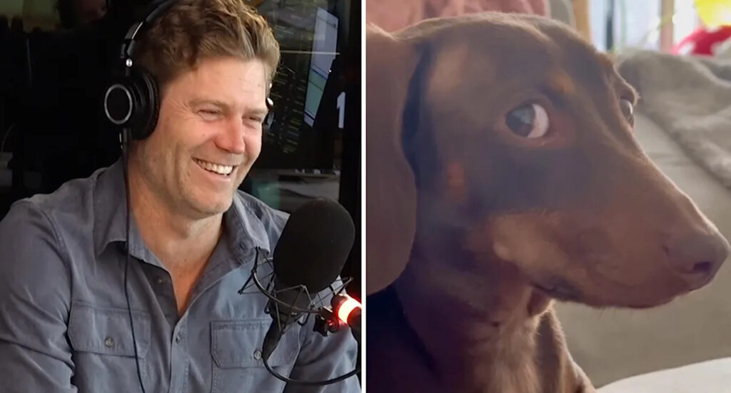 Dr Chris Brown’s warning to pet owners who let dogs into the bedroom while ‘doing the deed’