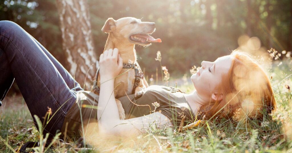 How to establish a healthy lifestyle for new rescue dogs