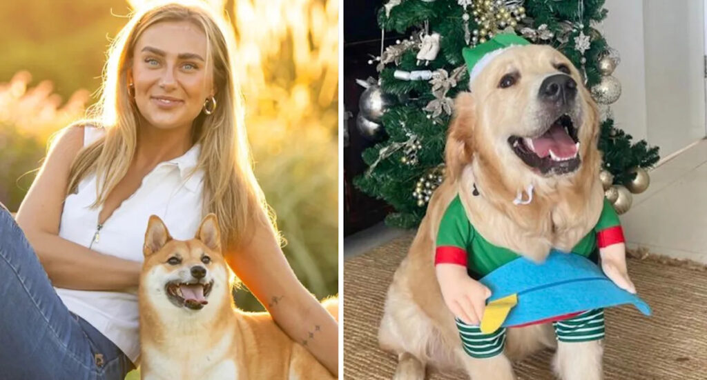 Aussie pet owners issued stark warning over seemingly innocent holiday act: ‘Distressing’