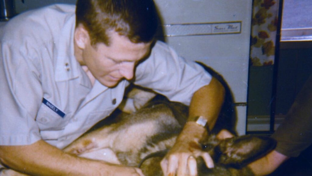Caring sentry dogs unforgettable experience for military veterinarian