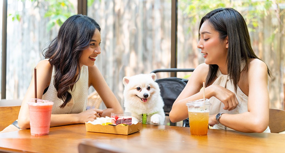 How humanizing pets is reshaping pet owners’ habits