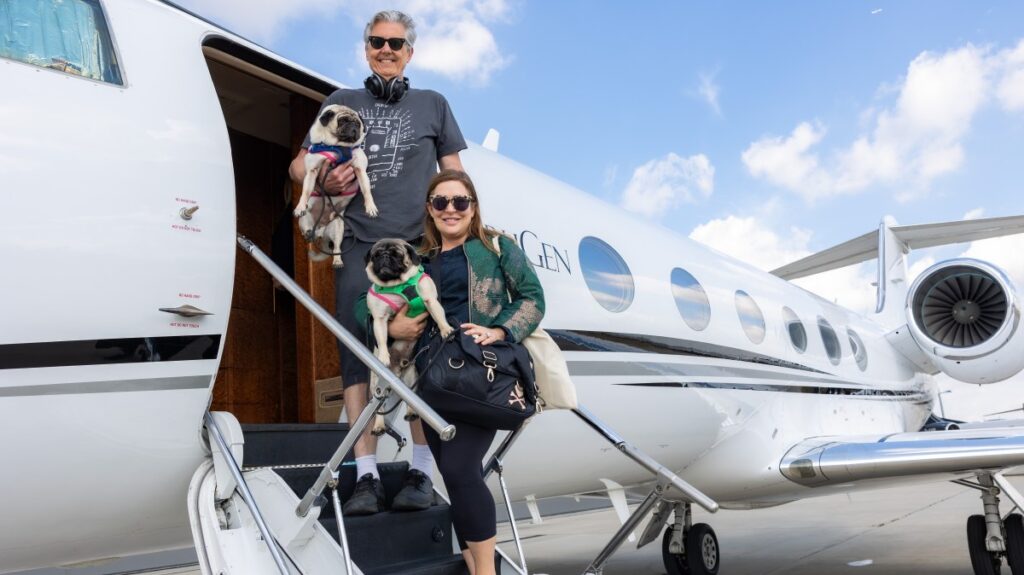 Pampered pets flying by private jet to avoid ‘cargo class’ travel